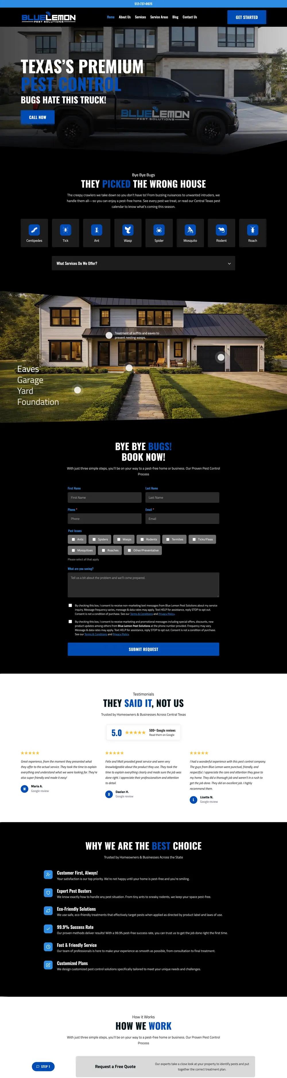 Blue Lemon Pest Solutions website homepage, designed by Emerald Beacon